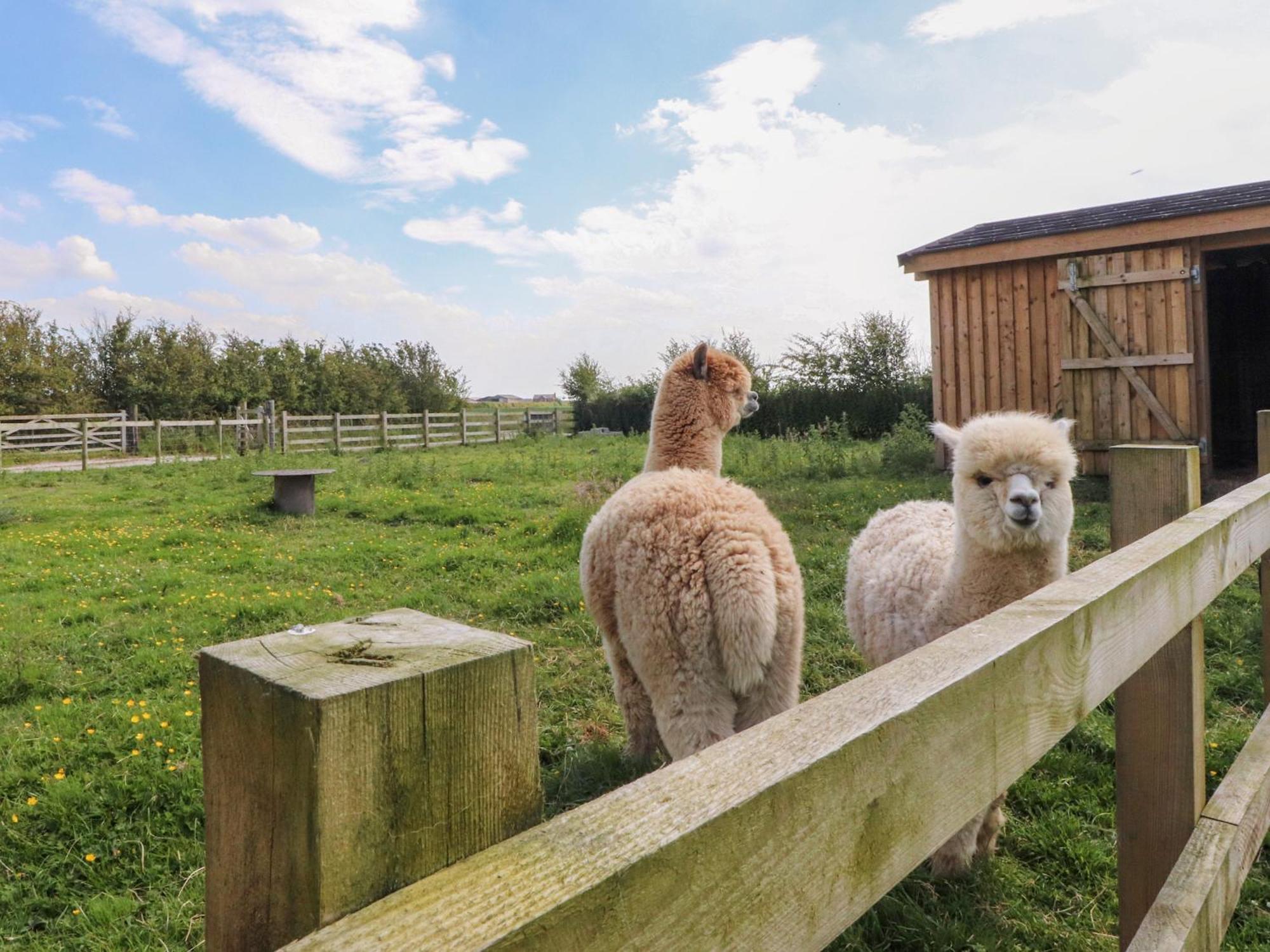 Lapwing Lodge Ланкастер Екстер'єр фото